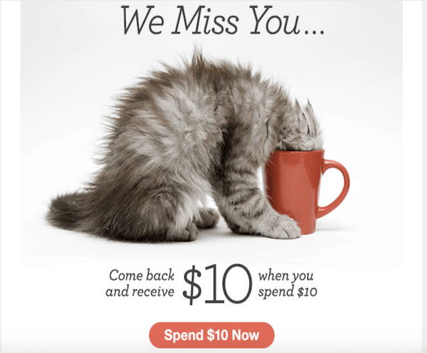 Target inactive subscribers with win-back emails featuring personalized incentives (e.g., discounts, surveys) or exclusive content. Use A/B testing to optimize subject lines and call-to-action (CTA) effectiveness, reactivating dormant leads before list pruning.